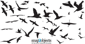 Free vector flying birds silhouettes