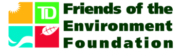 Friends Of The Environment Foundation