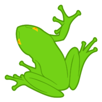 Frog 01