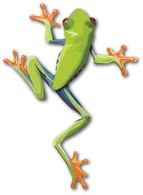 Frog 10