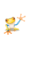 frog-by Sonny