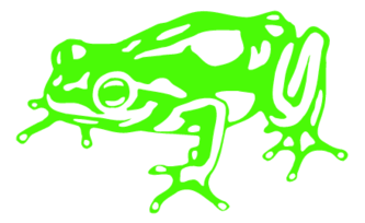 Frog Design 