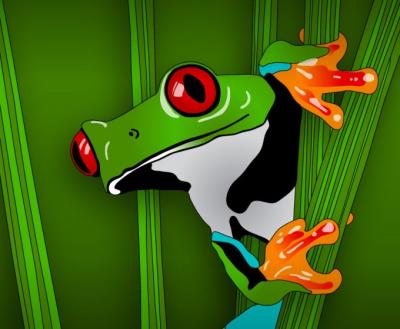 Frog Vector Preview