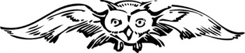 Animals - Front View Owl clip art 