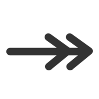 Ftline Double Line Arrow End