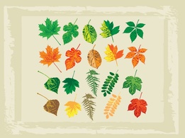 Full Color Vector Leaves