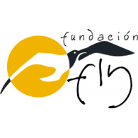 Services - Fundacion Fly 