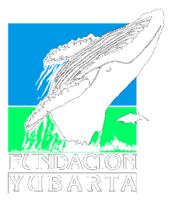 Fundacion Yubarta Preview