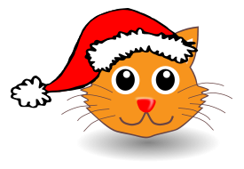 Funny kitty face with Santa Claus hat