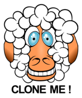 Funny Sheep