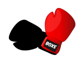 Gants de boxe Preview