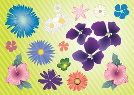 Garden Flowers Vector