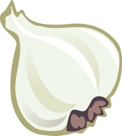 Garlic clip art Preview