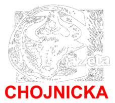 Gazeta Chojnicka 