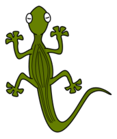 Gecko