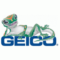 Geico Preview