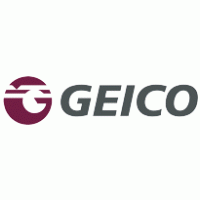 Geico Paint Systems Preview