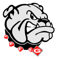 Georgia Bulldogs 