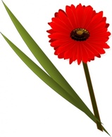 Flowers & Trees - Gerbera clip art 