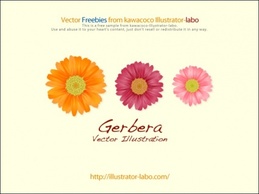 Gerbera Preview