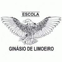 Education - Ginásio de Limoeiro 