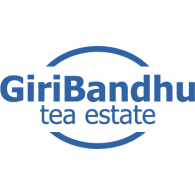 GiriBandhu Tea Estate Preview