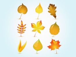 Elements - Glossy Autumn Leaf 