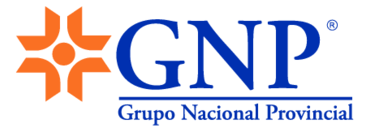 Gnp Grupo Nacional Provincial