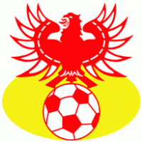 Football - Go Ahead Eagles Deventer (90's logo) 