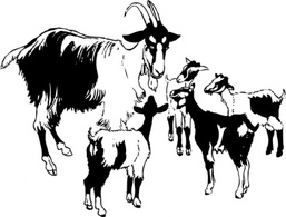 Human - Goat And Kids clip art 