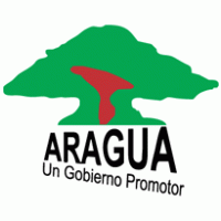 Government - Gobierno de Aragua 