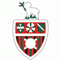 Godalming Town FC