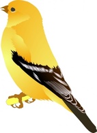 Gold Finch clip art