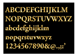 Business - Gold Serif Letters 