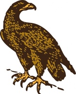 Golden Eagle clip art