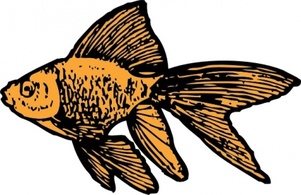 Goldfish clip art