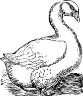 Animals - Goose clip art 