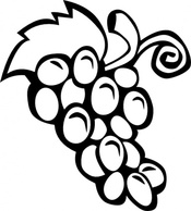 Food - Grape Vine clip art 