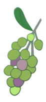 Food - Grapes 