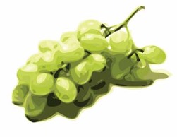 Grapes 1