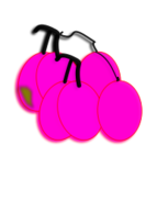 Food - Grapes 