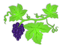 Grapes