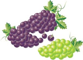 Food - Grapes 5 