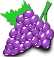 Grapes clip art