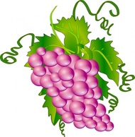 Grapes clip art Preview