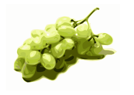 Grapes Leif Lodahl 02 Preview