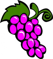 Food - Grapes Vine clip art 