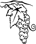 Grapevine Vector