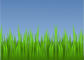 Grass clip art