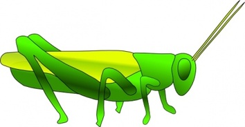 Grass Hopper clip art